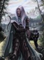 /album/fotogaleria-elfos/elfo-oscuro-jpg1/